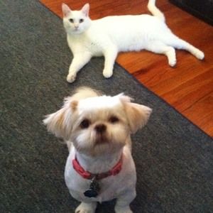 Meet your Posher, Denise